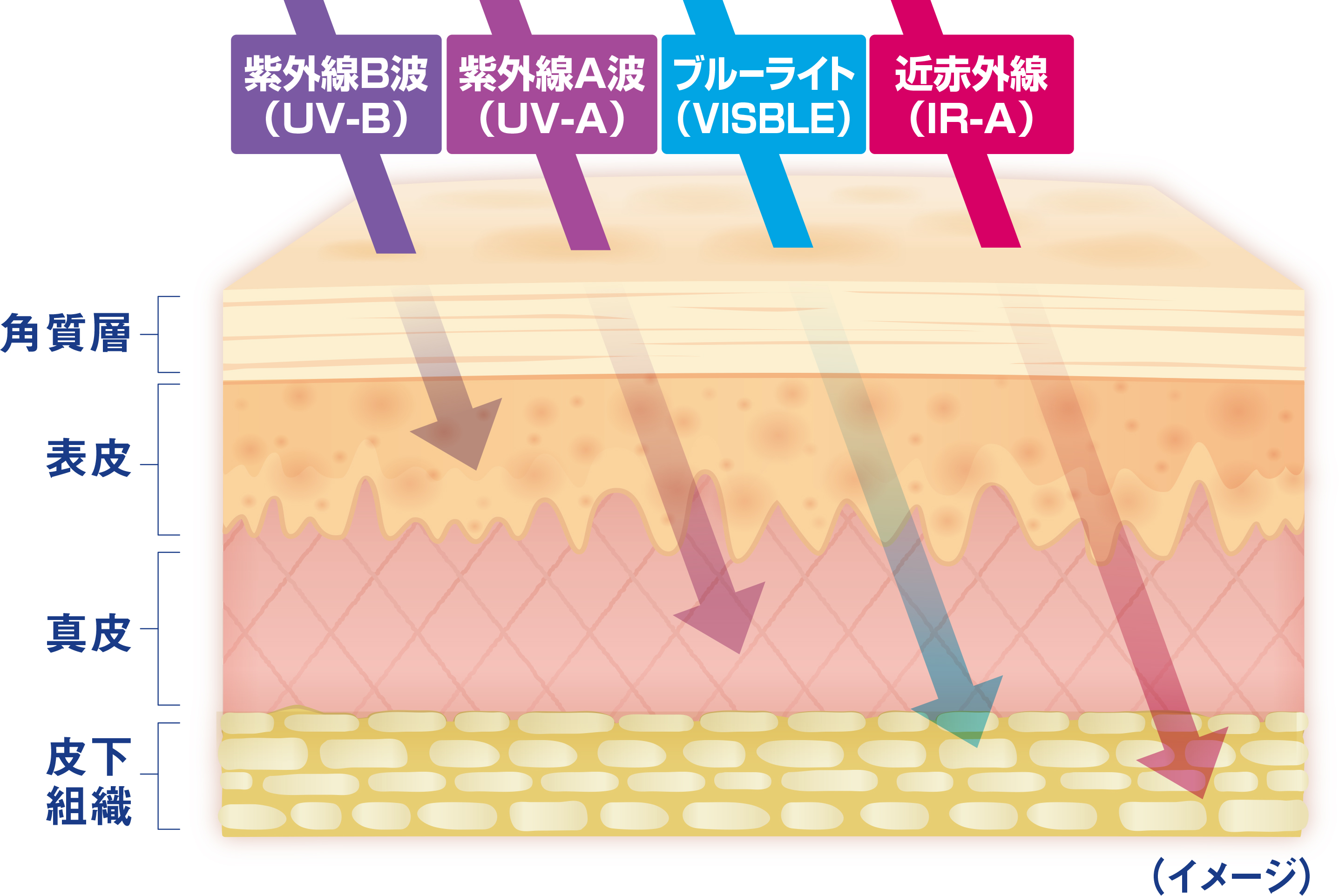 注意すべきは紫外線だけじゃない毎日のサンケアに近赤外線・ブルーライト対策を